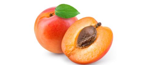 صورة مشمش لبناني